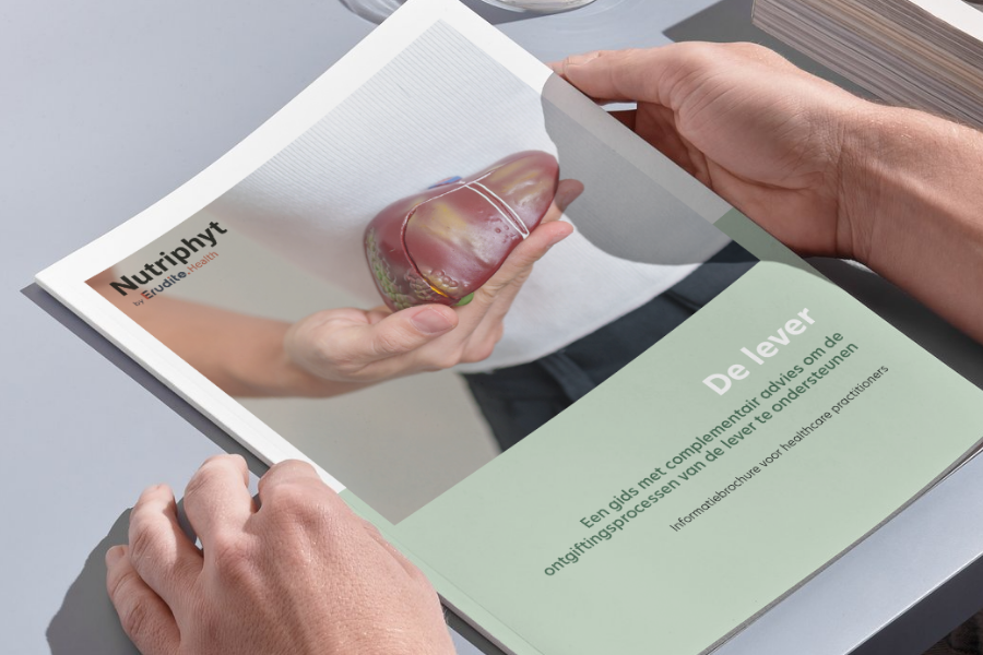 behandelprotocol lever