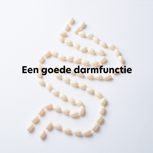 een goede darmfunctie