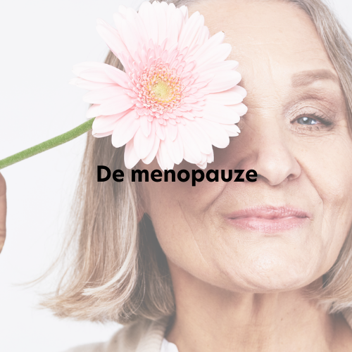 menopauze B2B