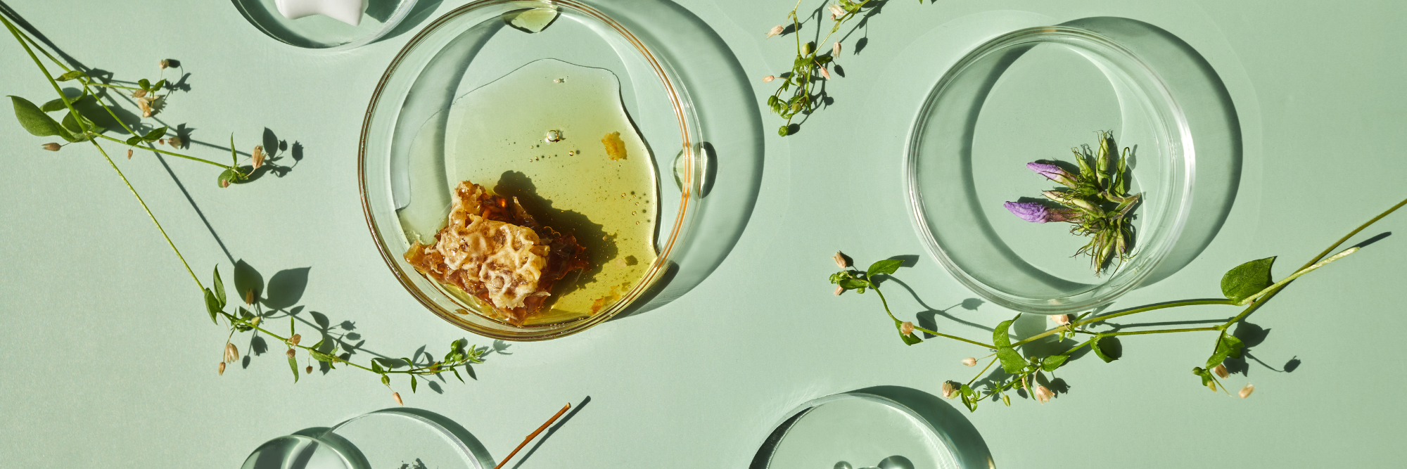 Clean_Label_banner Clean_Label_banner